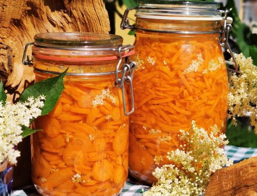 Fermentierte Möhre mit Holunderblüte